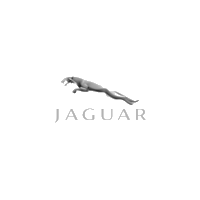 Turbodmychadla Jaguar